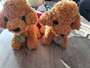 Simple peluches 