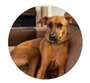 Photo de profil de ses compte Instagram 