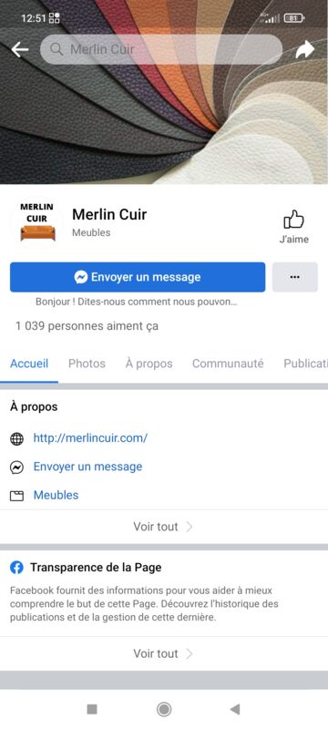 merlincuir.com, Site internet frauduleux