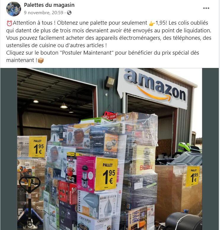 Palettes du magasin, Arnaque réseaux sociaux