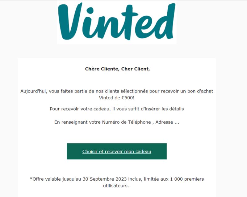Vinted 1 signalement
