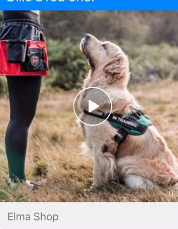 elma shop dog harness