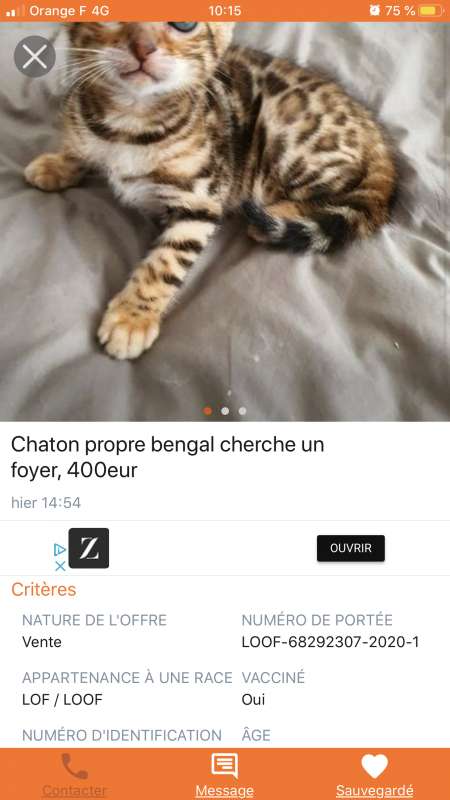 0756878468 Laurence Arnaque Site Annonce