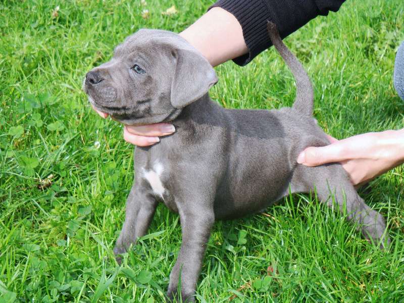 Gaetan Bodier Gmail Com Gaetan Bodier Arnaque Au Don 4 Commentaires